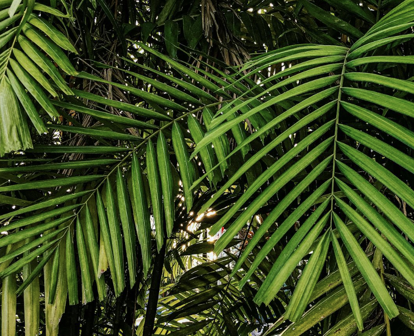 Soundtrack: Alle Songs aus dem Horror-Film