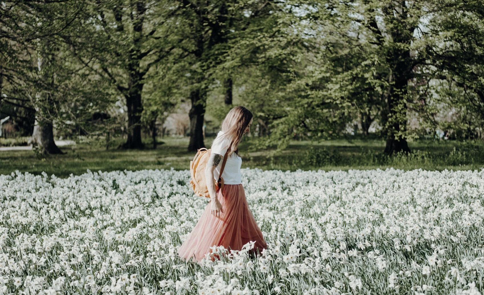 Frühlingsspatziergang